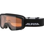 Alpina Scarabeo S Q, Skibrille