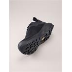 Arc'teryx Vertex Alpine GTX Men black