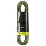 Edelrid Swift Protect Pro Dry 8,9mm