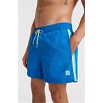 ONeill Vert Retro 14 Swim Shorts princess blue Herren Badeshort