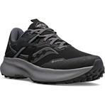 Saucony Ride 15 TR GTX Women black