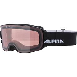 Alpina Nakiska QV Skibrille