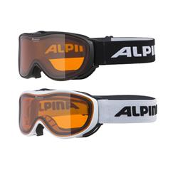Alpina Challenge 2.0 DH Skibrille