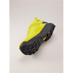 Arc'teryx Vertex Alpine GTX Men euphoria graphite