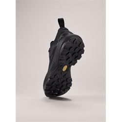 Arc'teryx Vertex Alpine GTX Men black