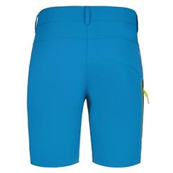 Icepeak Brentford aqua Herren Shorts<br />
<br