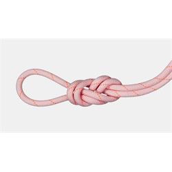 Mammut 9.9 Gym Workhorse Classic Rope Standard candy