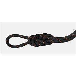 Mammut 9.9 Gym Workhorse Dry Rope Standard black