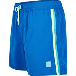 ONeill Vert Retro 14 Swim Shorts princess blue Herren Badeshort